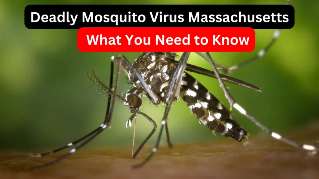 Beware: Deadly Mosquito Virus Strikes Massachusetts – What You Need to Know Beware: Deadly Mosquito Virus Strikes Massachusetts – What You Need to Know
