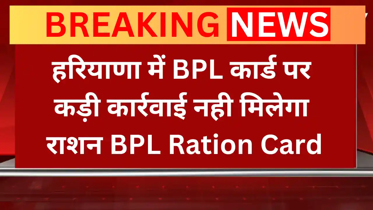 हरियाणा में BPL कार्ड पर कड़ी कार्रवाई नही मिलेगा राशन BPL Ration Card BPL Ration Card